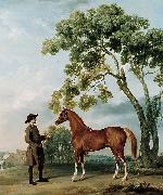 George Stubbs Lord Grosvenor's Arabian Stallion with a Groom painting